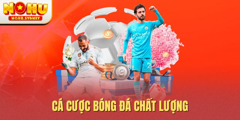 Cá cược bóng đá chất lượng