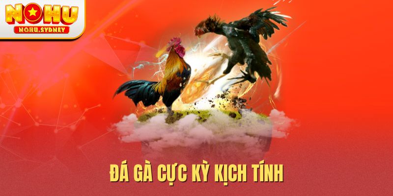 Đá gà cực kỳ kịch tính