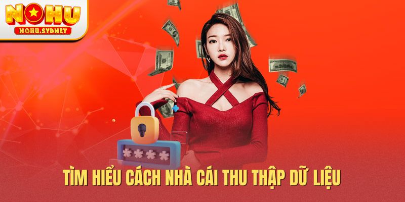 Tìm hiểu cách nhà cái thu thập dữ liệu Tìm hiểu cách nhà cái thu thập dữ liệu